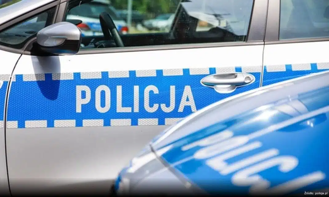 Międzypokoleniowe ubieranie odblaskowej choinki w Ełku