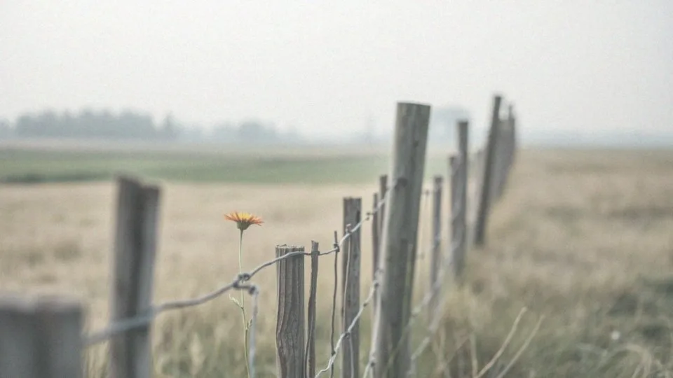 Poza czy po za? Zasady pisowni słowa 'poza’ w języku polskim